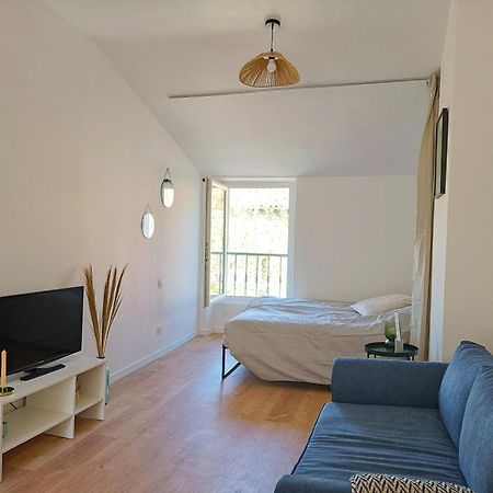 Cosy Studio - Heart Of Millau Bagian luar foto